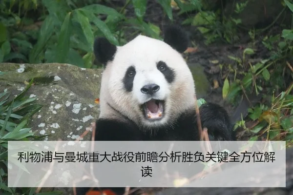 利物浦与曼城重大战役前瞻分析胜负关键全方位解读