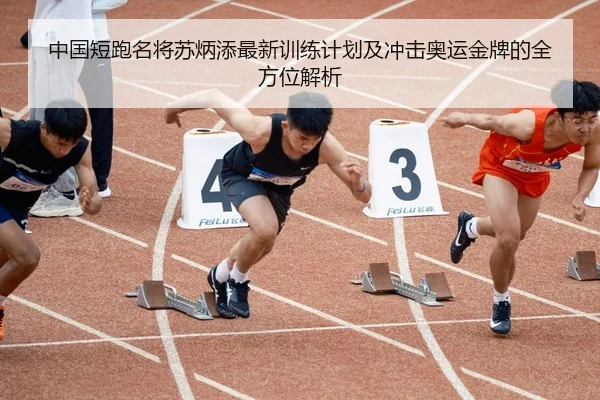 中国短跑名将苏炳添最新训练计划及冲击奥运金牌的全方位解析